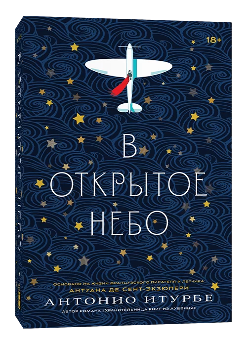 Книга В открытое небо