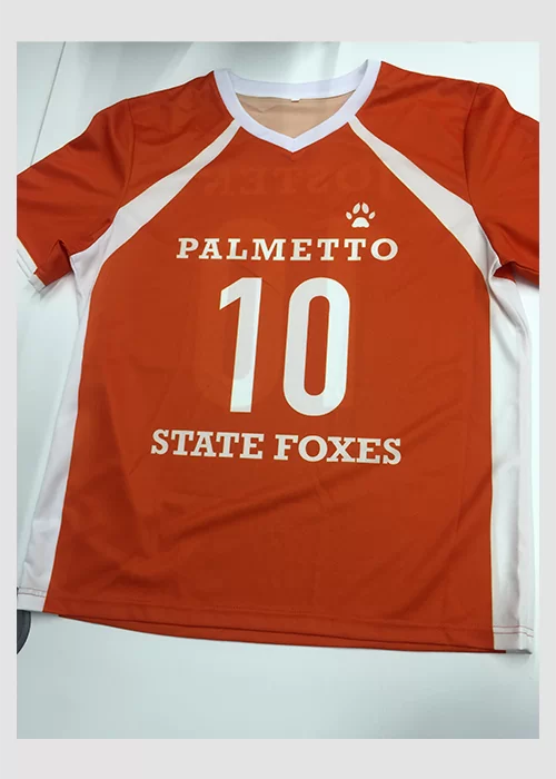 Книга Джерси «Palmetto State Foxes»